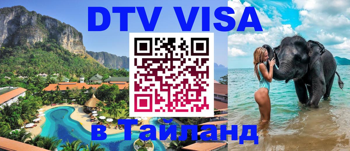 Сколько стоит DTV виза — актуальные цены, оформление даже без документов - Элиста 